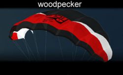 402-310011100 PunkAir Picus Woodpecker  
